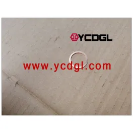 Sealing Gasket 01118737