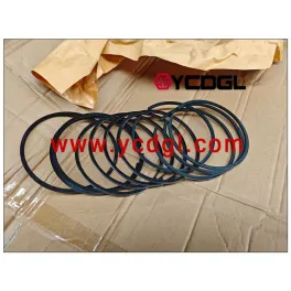 LR4M3Z-23 Piston Ring