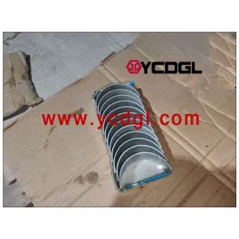 CA6DF2D-19 Connecting Rod Bearing