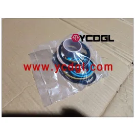 Steering Cylinder Repair Kit 655D