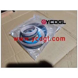 Boom Cylinder Repair Kit 6141582 for 660B