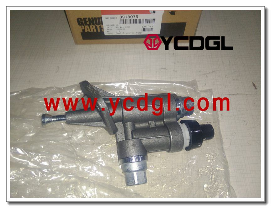 Transfer pump 3918076