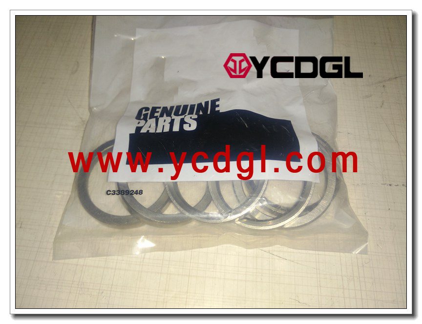 Intake valve seat 3924582