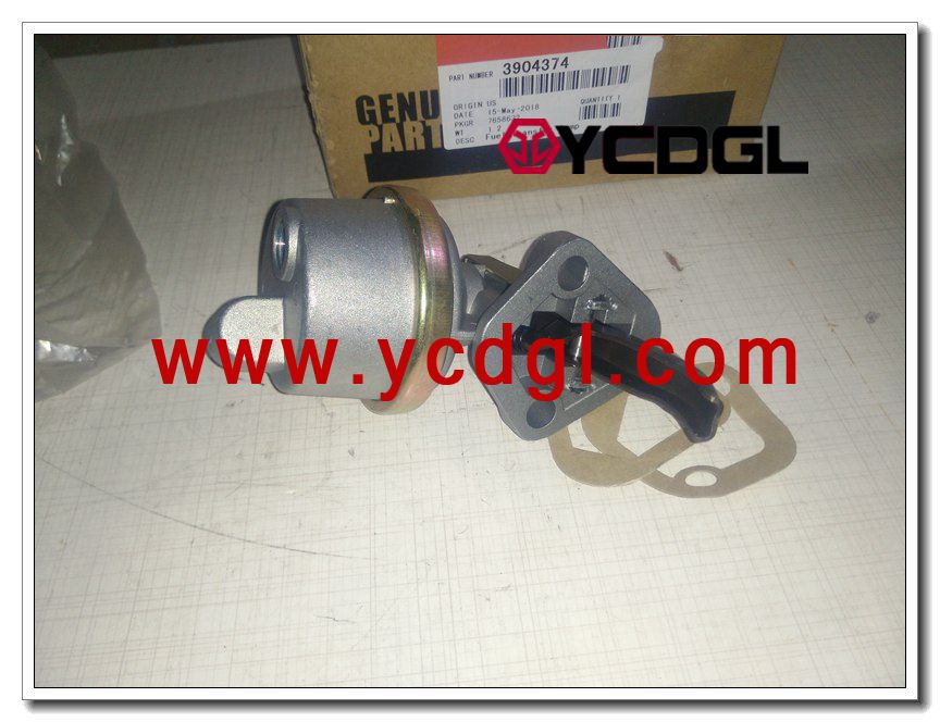 transfer pump 3904374