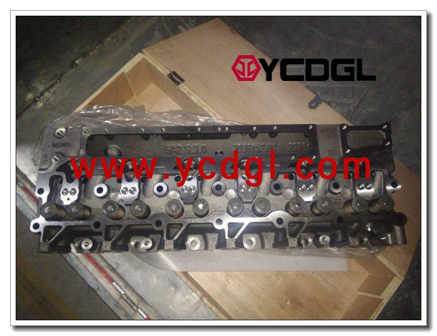 Cylinder head assembly 3973493