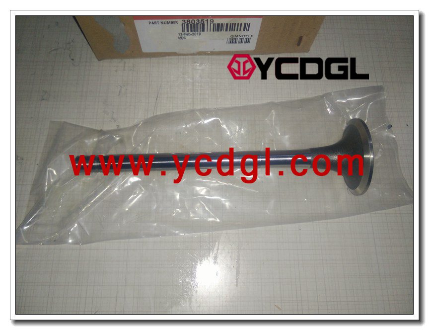 Intake valve 3803519