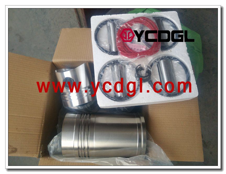 piston kit R4105