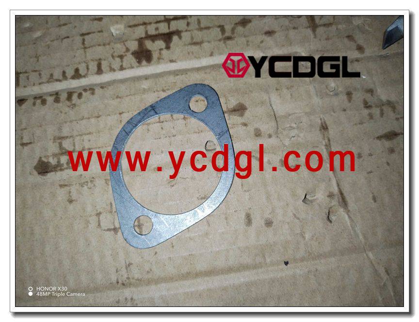 Gasket 12190248