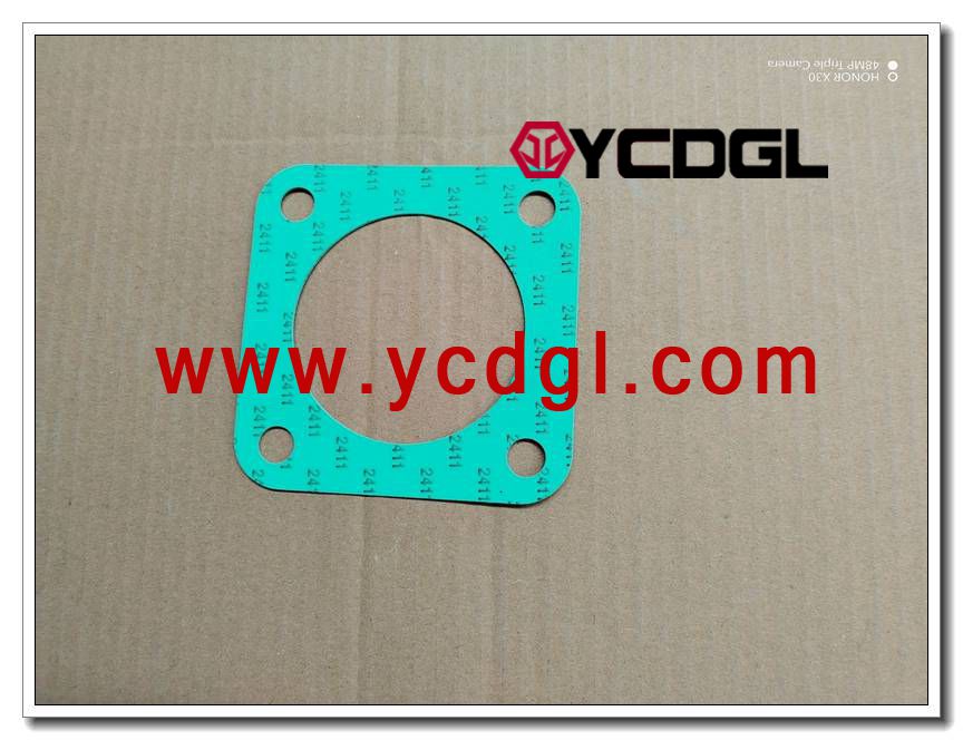 Gasket 610800190010