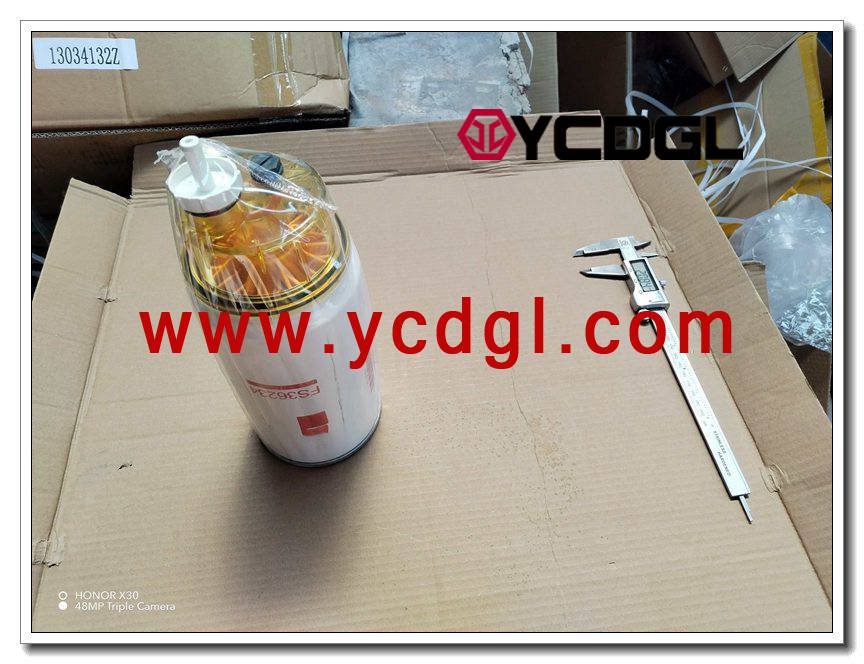 Fuel filter FS36234