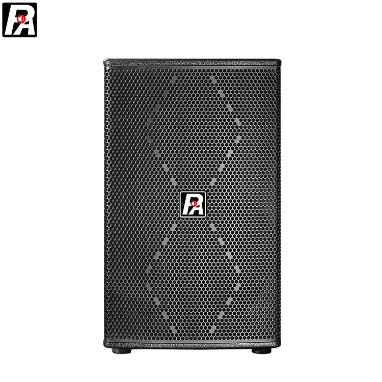 Professional 12 Main Speaker