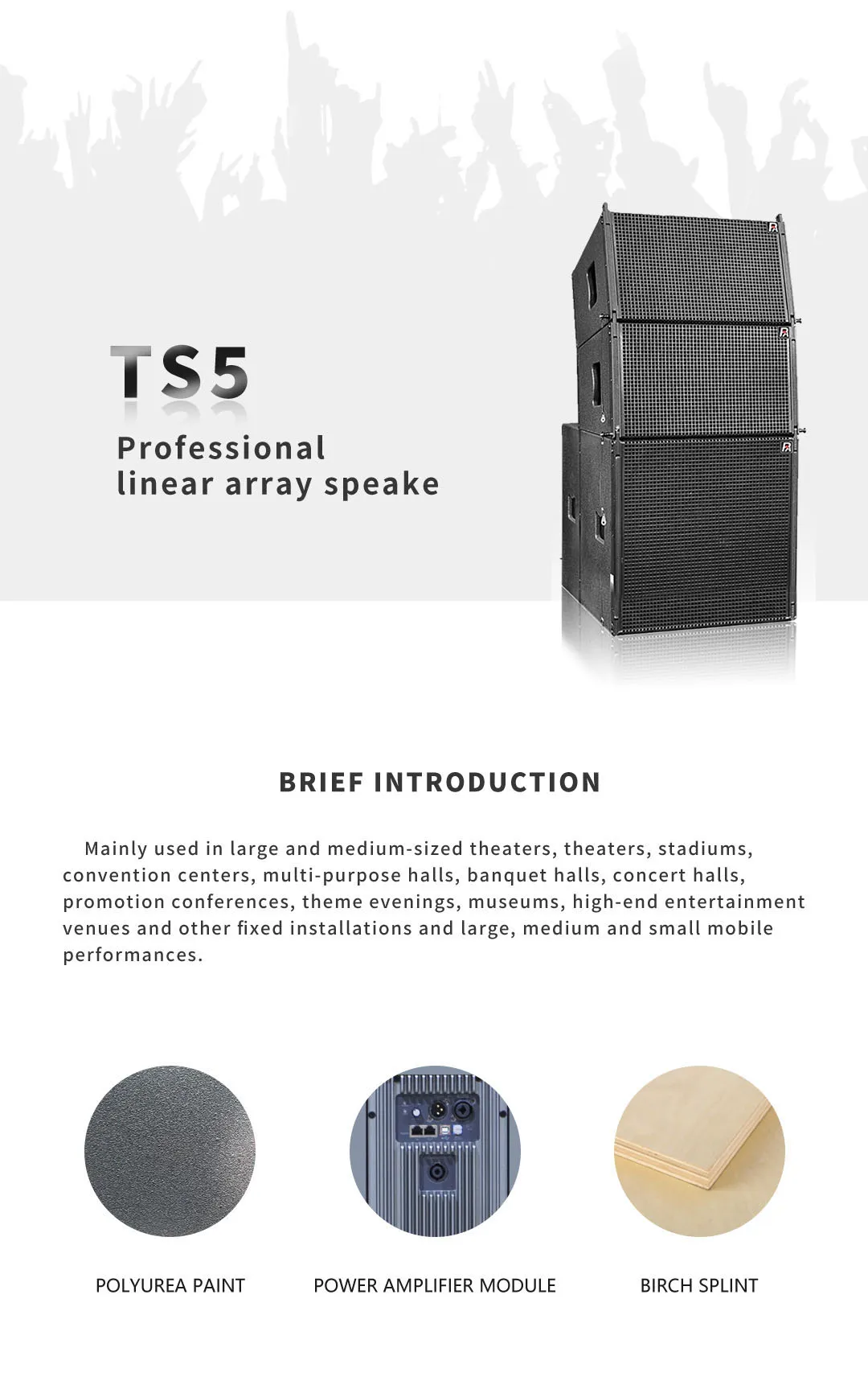 Single 12" Line Array Speaker