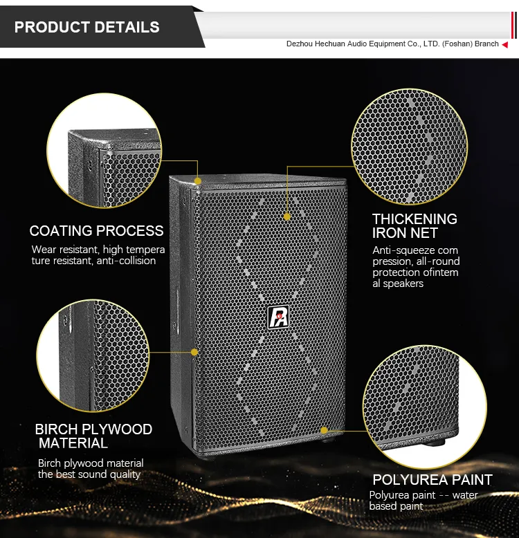 Professional 12 Main Speaker