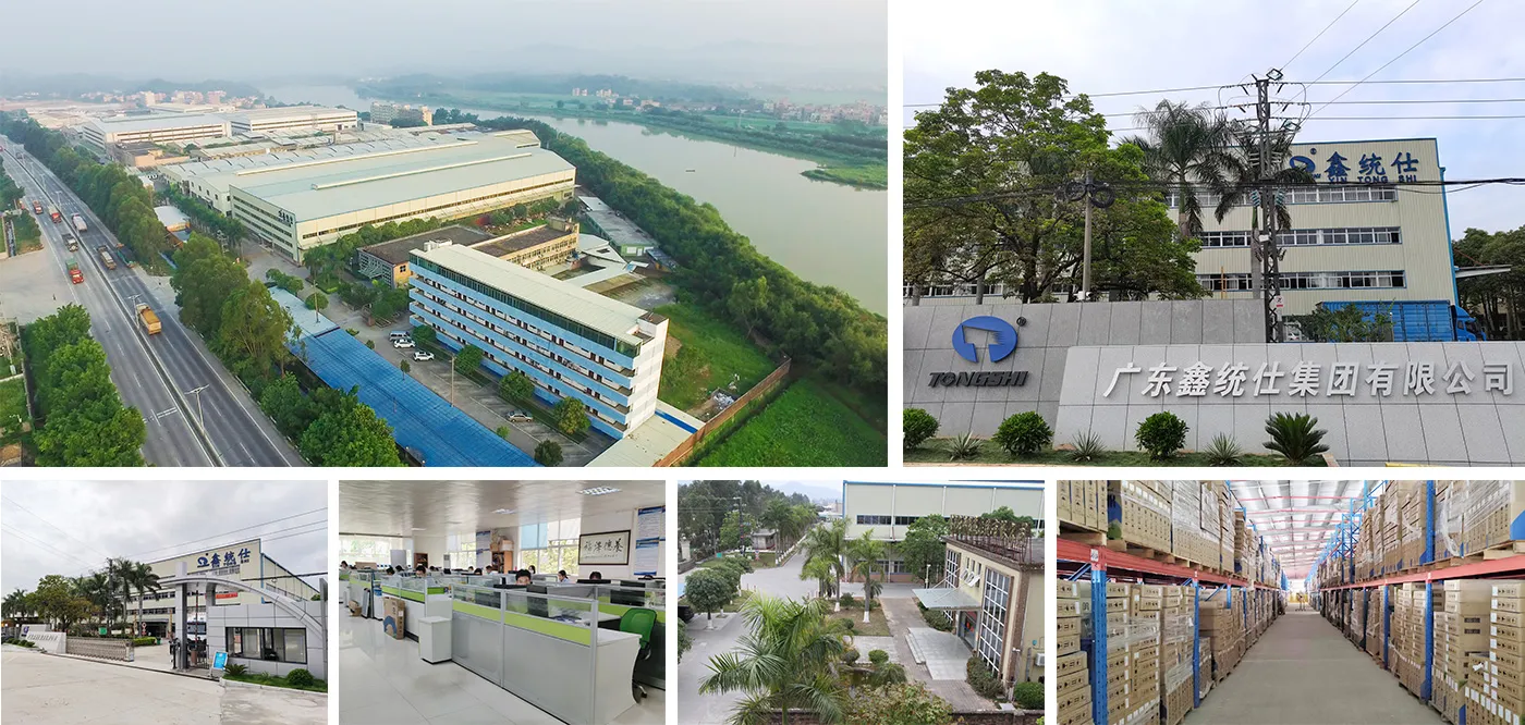 Guangdong Xin Tongshi Group Co., Ltd
