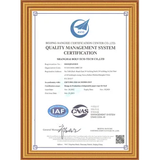 ISO9001-EN Certificate