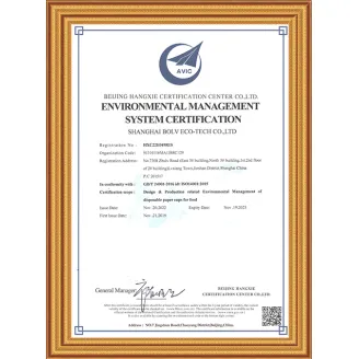 ISO14001-EN Certificate