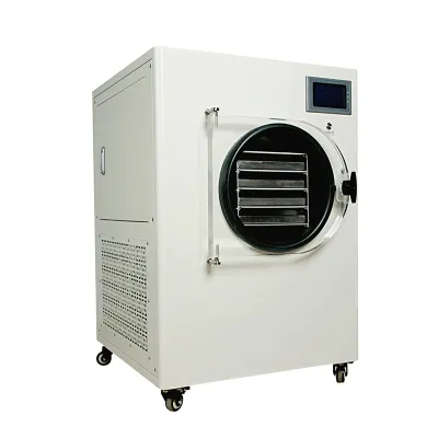 Freeze Dryer Drying Machine /mini Freeze Dry Food At Home /freeze