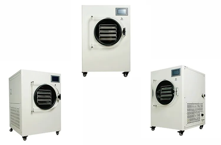 1-2Kg Small Home Use Freeze Dryer For Food
