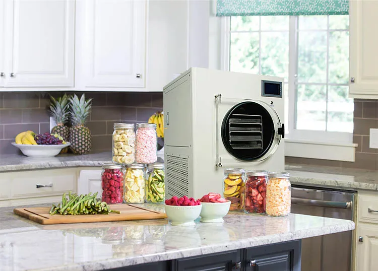 0.4m2 Home Food Vacuum Freeze Dryer