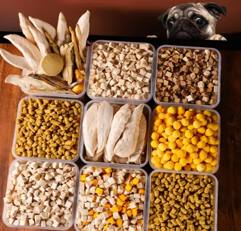 Pet Food Freeze Dryer: The Difference Between Drying And Freeze Drying