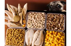 Pet Food Freeze Dryer: The Difference Between Drying And Freeze Drying