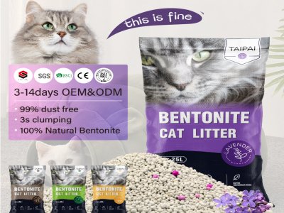 Best Cat Litter Suppliers 2025