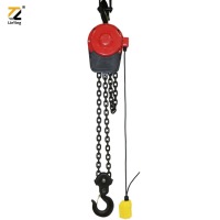 DHS Type Ring Chain Electric Hoist