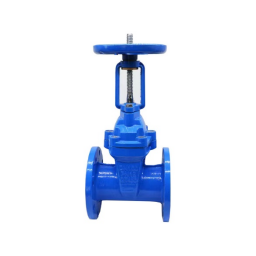 Elastic seated gate valve