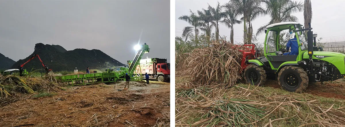 Application of impurity removal equipment in sugarcane planting