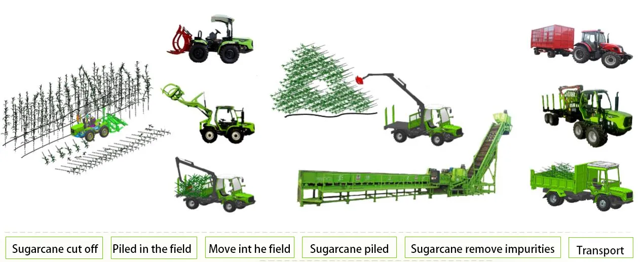Application of impurity removal equipment in sugarcane planting