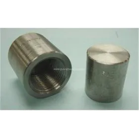 BS3799 ASTM SB564 Alloy Steel Forged Screwed Cap