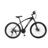 THE MOUNTAIN BIKE Robin Hood