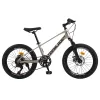 mountain bike 22