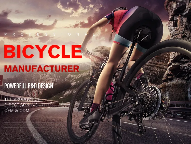 New Design China electric bicycle