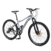 mountain bike21