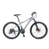 mountain bike21
