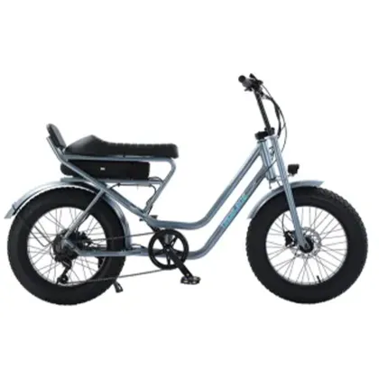 Electric Bike 20 Inch Fat Tire
