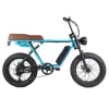 Ebike Hidden Battery Electric Bike