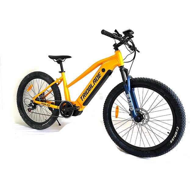 ELECTRIC BIKE 500W MOTOR E BICYCLE