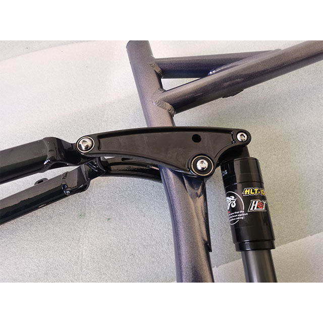 Custom Bicycle Frame