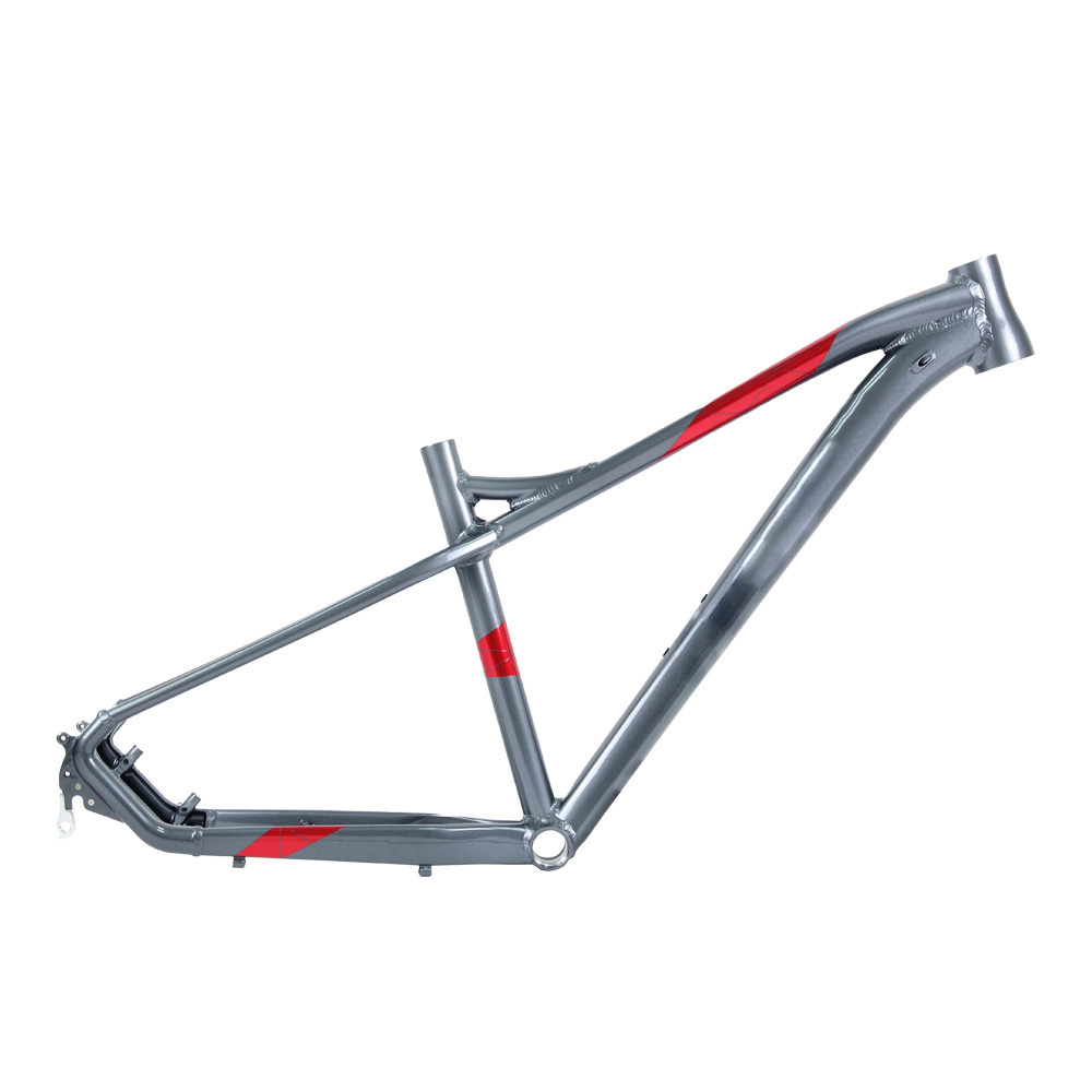 Custom Bicycle Frame