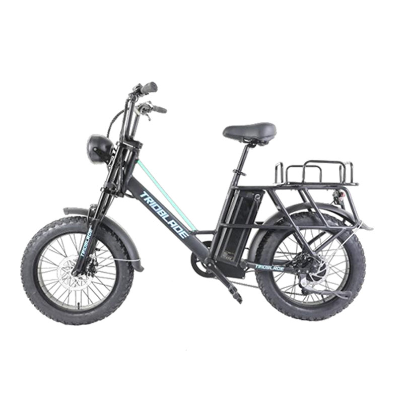 Electric Bike 3