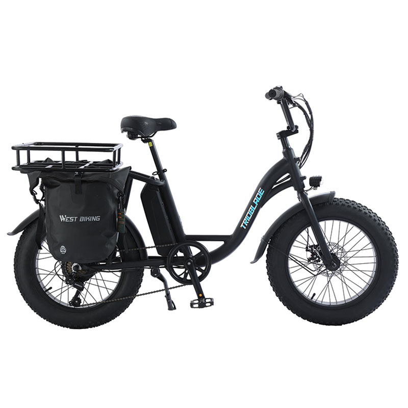 Electric Bike 6