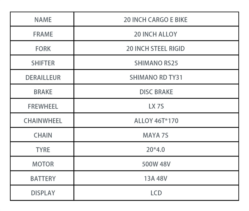 20 Inch Cargo Electric City Bicycle