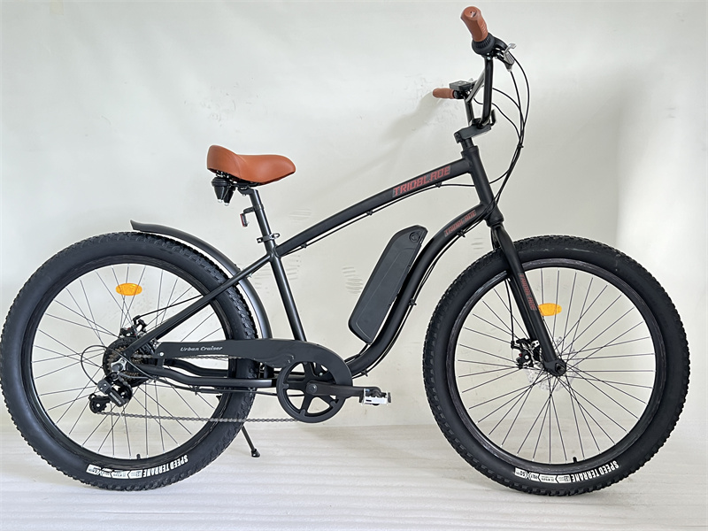 48v 500w 10ah Electric City Bike