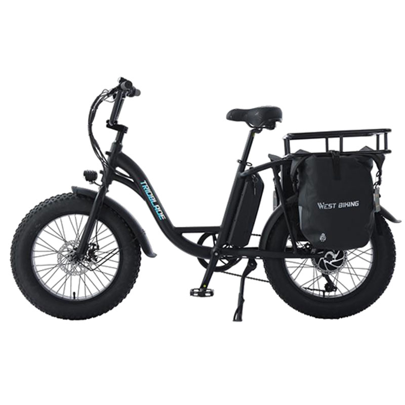 Electric Bike 6