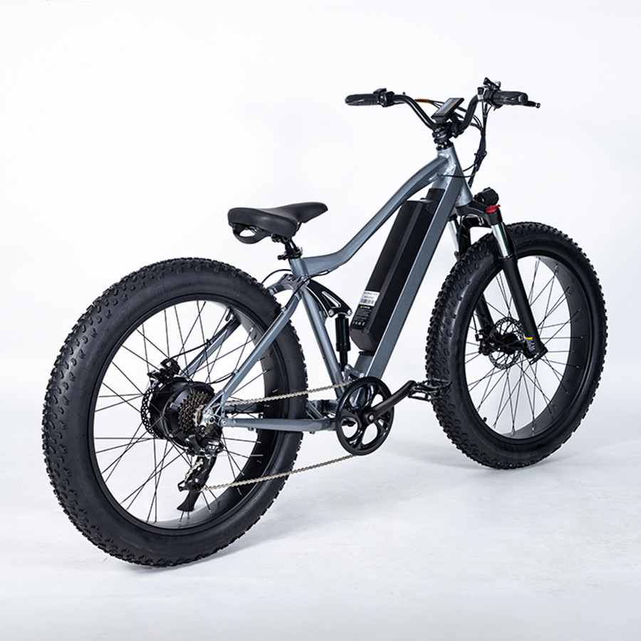 Electric Bike 5