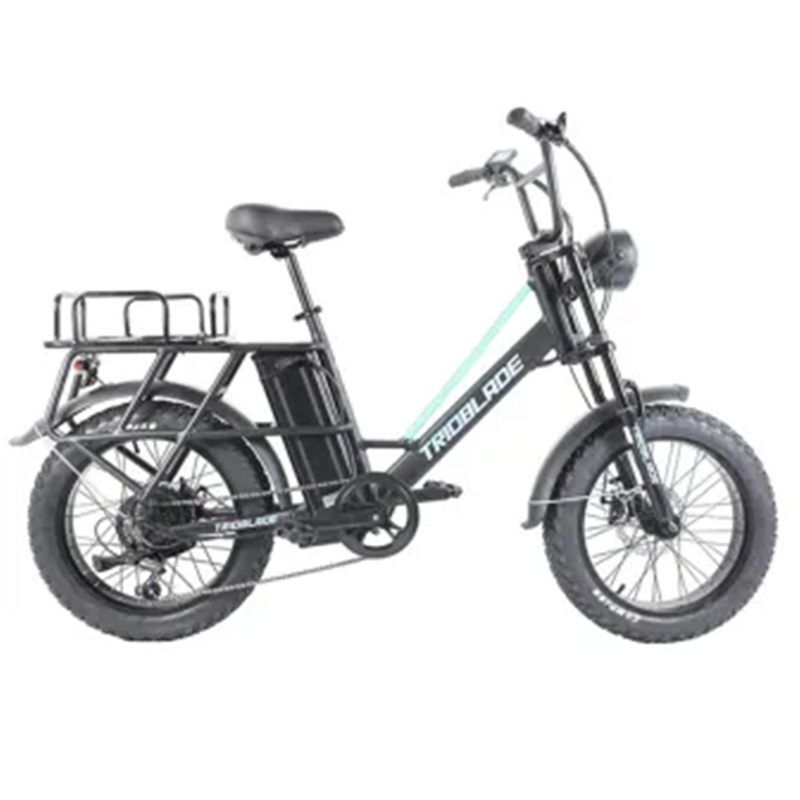 Electric Bike 3