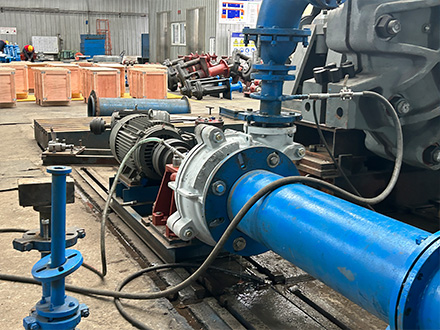 Introducing the New Horizontal Froth Pump – WXFG