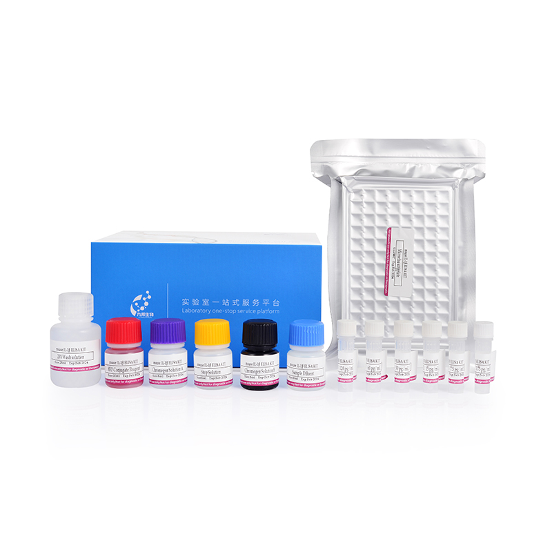 Humang Hepatitis B e Antigen (HBeAg) ELISA Kit